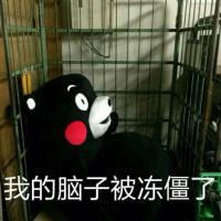 表情包 感情不就图个安稳 我