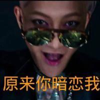 表情包 你只看得到我发给你的