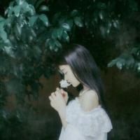 南风知我意 “你的一句明天见 让
