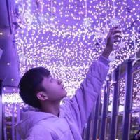 贩卖头像 相爱这个词太漂亮又太