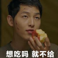 宋老公表情包 喜欢不一定非得在一起
