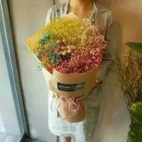 孤人. 我只有碰到喜欢的人才
