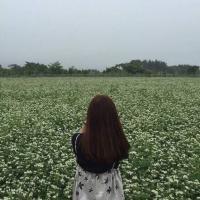 持刀战情场 抬头仰望天空，却突然