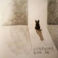 唯美 每个人都喜欢主角，但