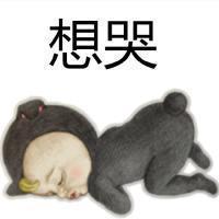 不看你别喷. 生命因为有限所以才宝