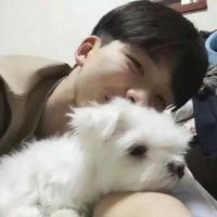 风。 我无法渗入到你的生活