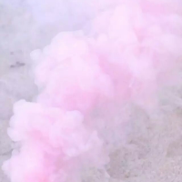 偶尔粉色少女心 开始学会隐藏情绪 隐