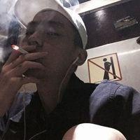 像慵懒怪猫 以前说过永远不会离开