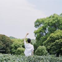 遇。见 女人的爱就像酒，越酿