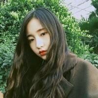 野猫一个晨 最美的风景只能看一次