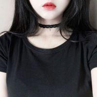野猫一个晨 最美的风景只能看一次