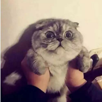 把我捧在手心然后狠狠