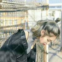 愿你喜 单纯的事物与现实的社