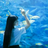 问灵十三载 待你不归