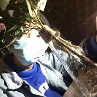 这个男人叫诸振中 你是只个孤独浪者.不