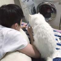 你的未来我奉陪到底。