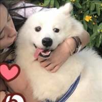 你见感情放过谁 别网恋，许久才会见面
