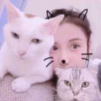 其实没有感同身受    只有冷暖自知