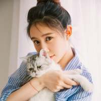 我和我的猫都很想你，可是我没有猫，也没有... 一段文字一段伤，一场