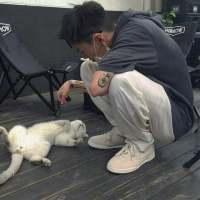 老实讲 要不是你 我过得比谁都好 如果有一天我们变陌生