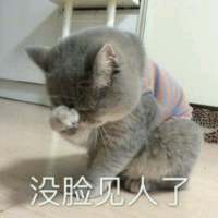 别让我听到你又爱上谁 我都快忘了曾经的那个