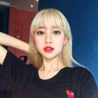 姐妹图。 任何东西 只要足以迷
